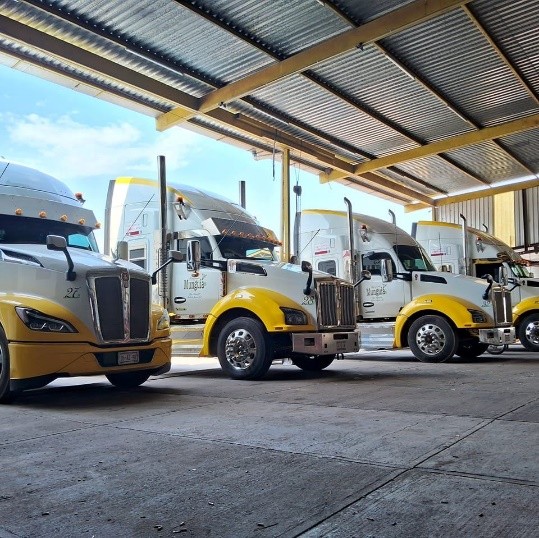 TRANSPORTES MUNGUIA S.A. DE C.V.